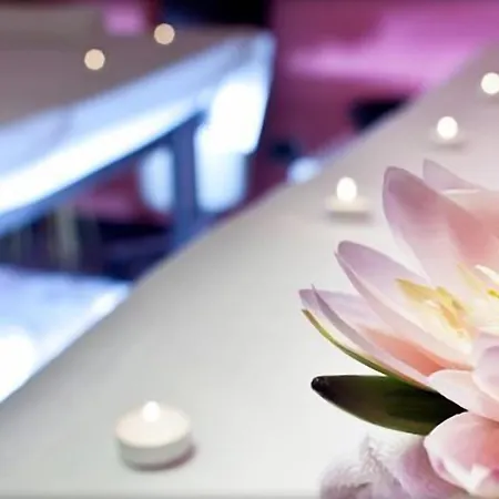 Virgilio Grand فندق